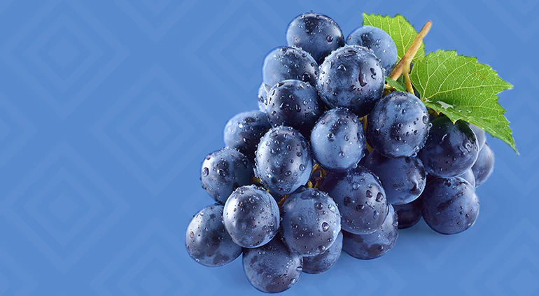 Fresh blueberries